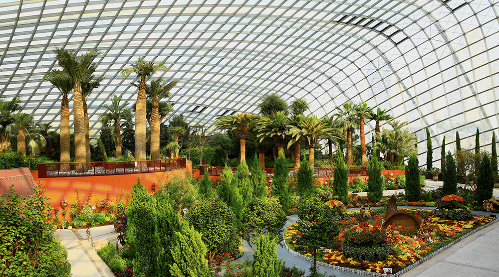 https://d3r8gwkgo0io6y.cloudfront.net/upload/Flower Dome.jpg